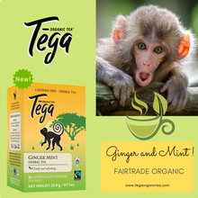 Load image into Gallery viewer, Tega Ginger Mint Tea