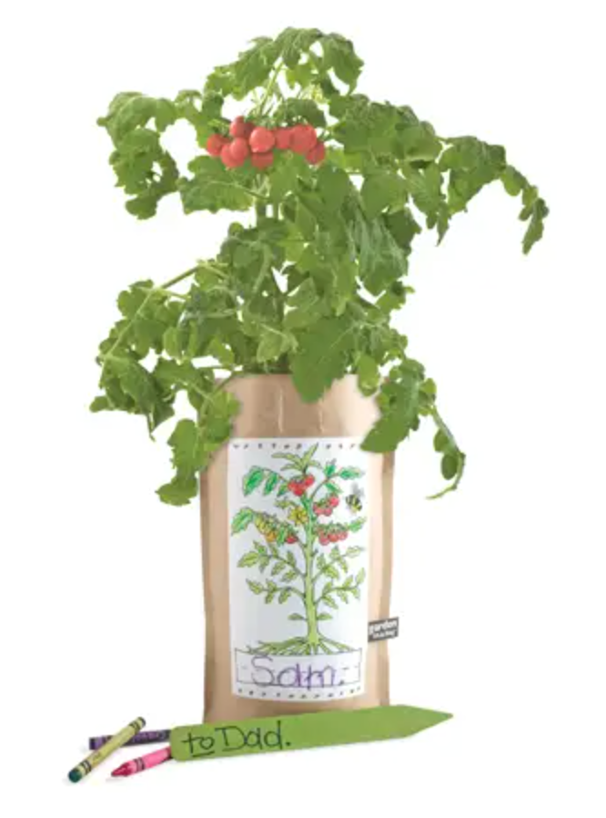 Potting Shed Garden in a Bag Tomato