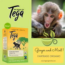 Load image into Gallery viewer, Tega Ginger Mint Tea
